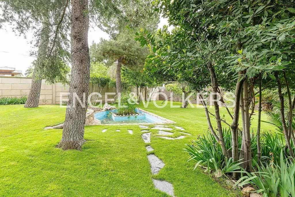garden