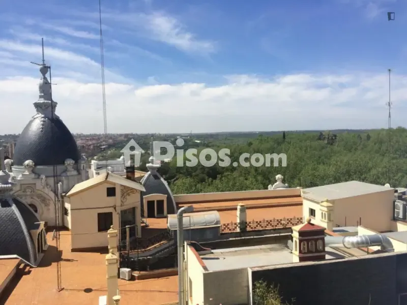 Terrasse - 2-Bedroom Flat in Argüelles, Madrid