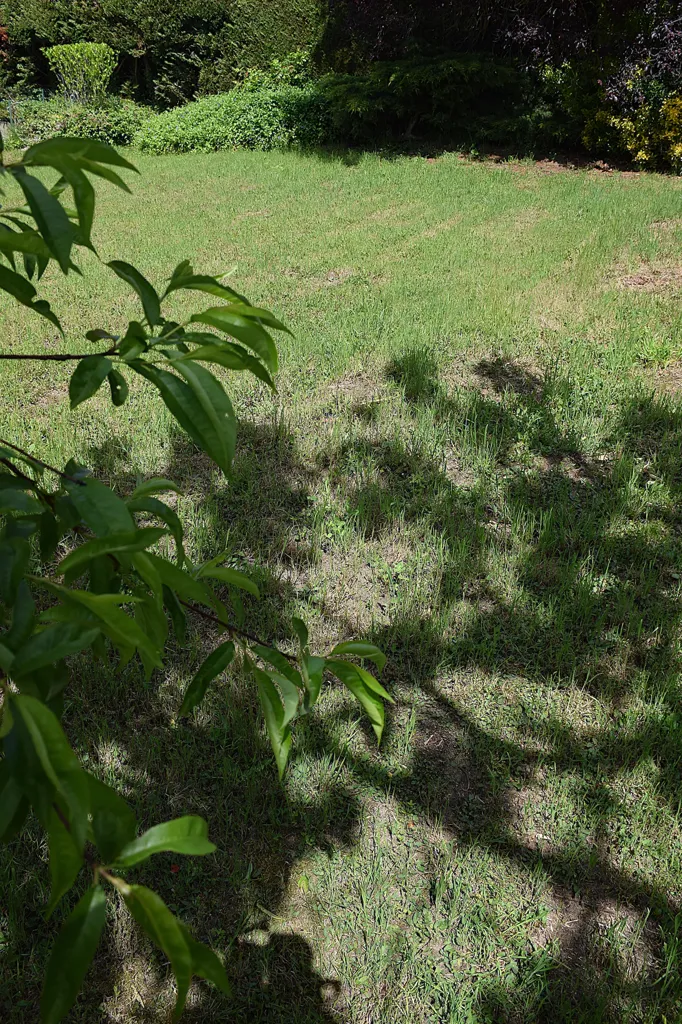 Jardin - Terrain Constructible avec Piscine à Chambœuf