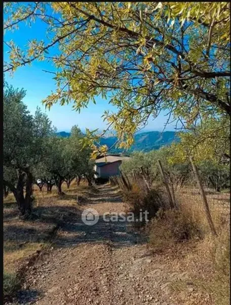 Jardin - Independent House with Olive Grove in Zagarise
