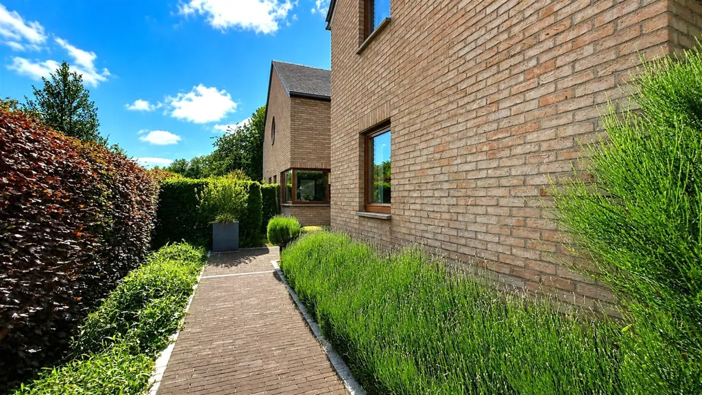 Jardin - Villa avec Espace Professionnel à Haillot