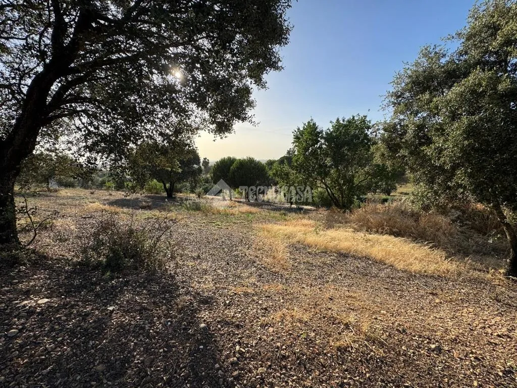 Aed - Rustic Land with Potential in Badajoz