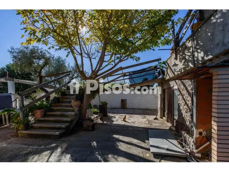 Jardin - Rustic Finca with Pool in Grao de Castellón
