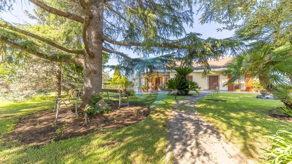Jardin - Villa with Pool and Garden in Frascati