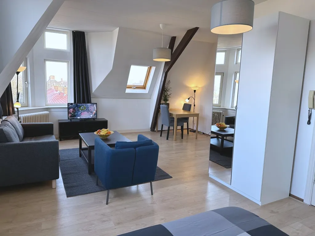 Séjour - Studio with Private Kitchen in Kralingen, Rotterdam