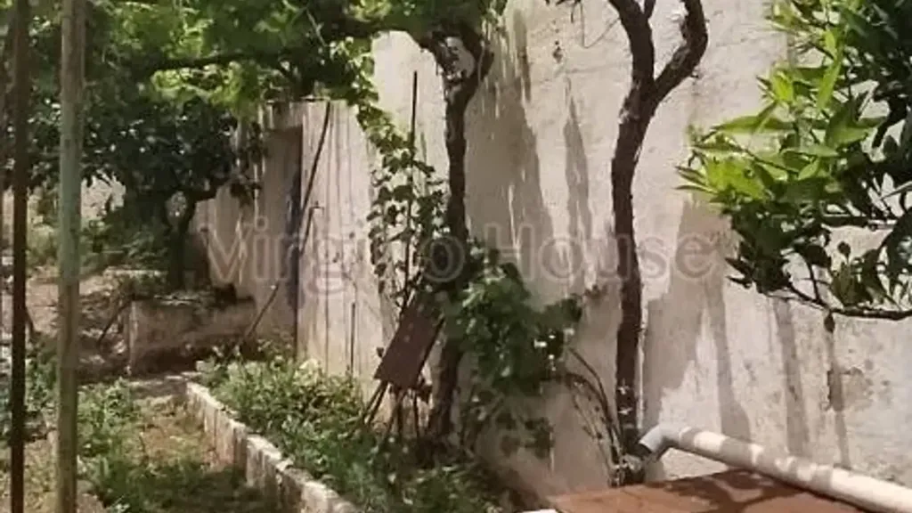 Garden - Typical Trulli House in Ostuni