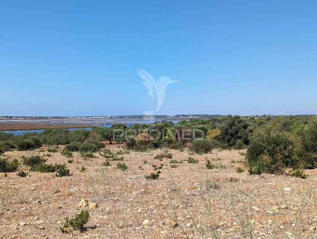 Jardin - Herdade with Ruin in Castro Marim