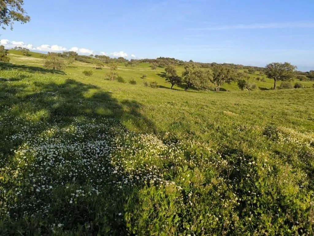Aed - Luxury Farmhouse with Development Potential in Alentejo