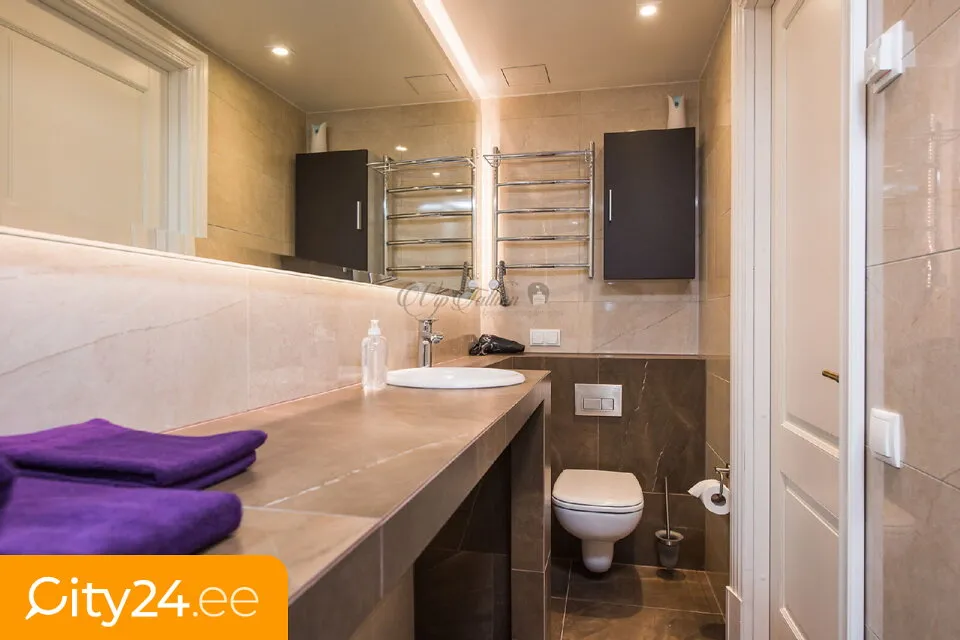 Vannitoad - Modern Studio Apartment in Old Town Tallinn