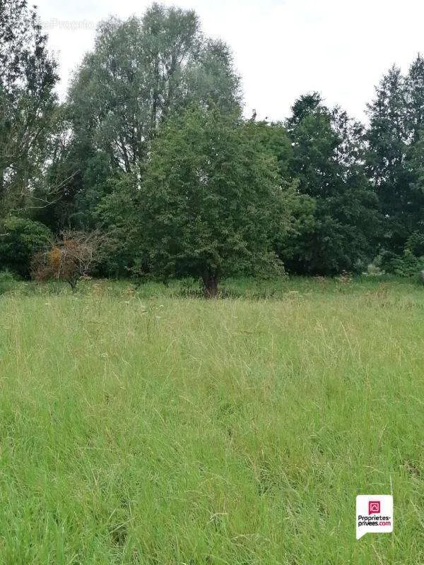 Aed - Buildable Plot in Village Centre, Saint Clair sur Epte