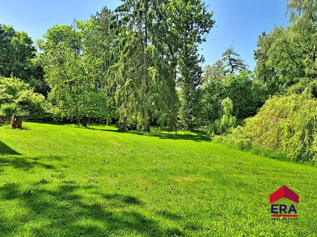Giardino - Charming House with Woodland in Marchin