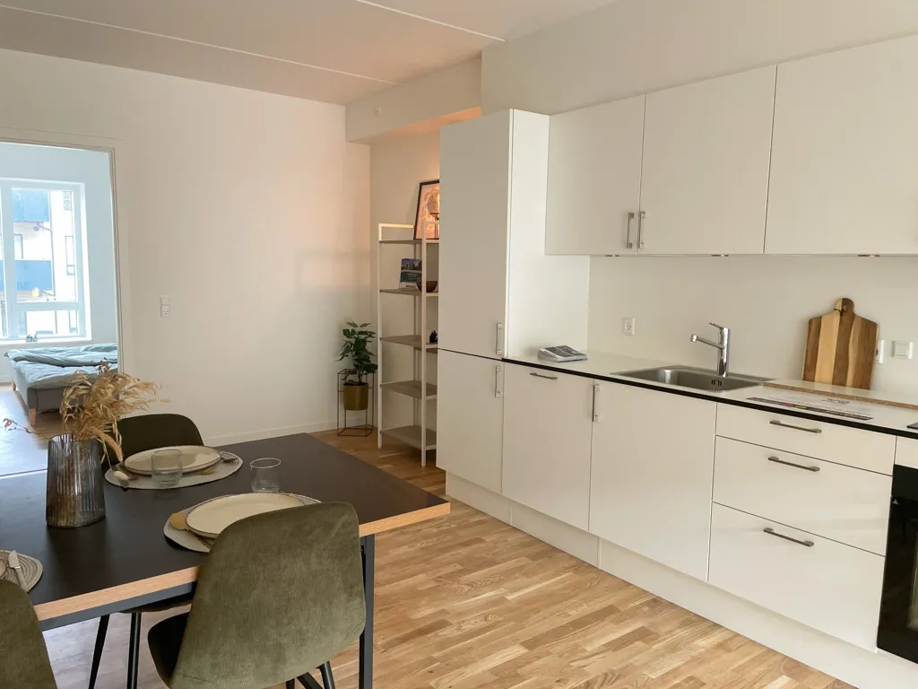 Appartement 3 pièces à Odense