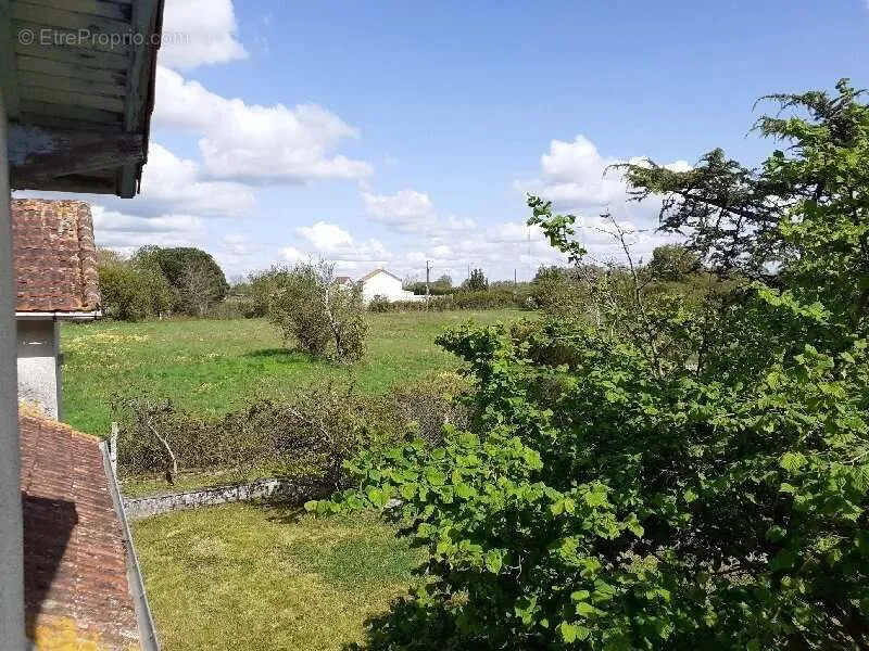 Giardino - Rustic Property with 5,000m² Land in Quiet Village