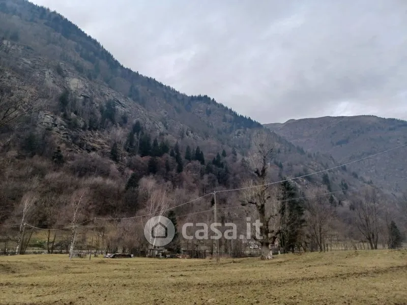 Aed - Walser Rustico with Garden in Issime