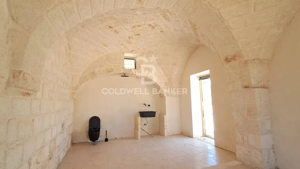 Toad - Historic Rustico with Terraces in Ostuni