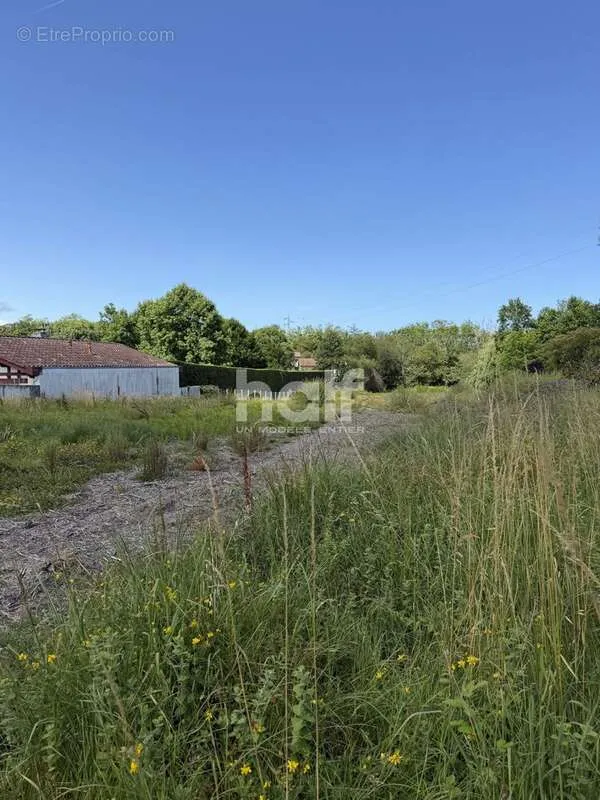 Jardin - Terrain Constructible à Bidart, Quartier de l'Uhabia