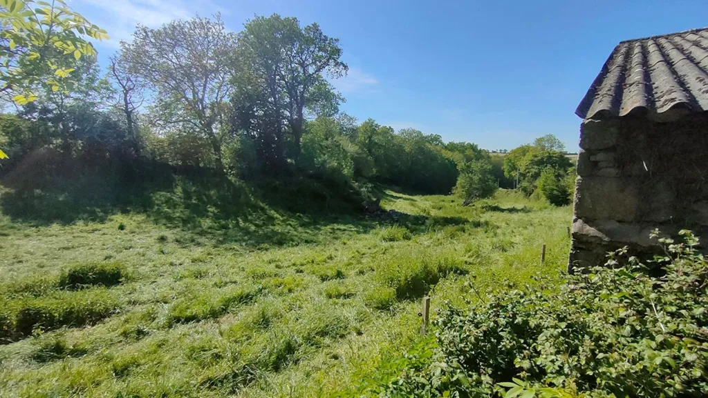 Jardin - Grange en Pierre à Rénover à La Verrie