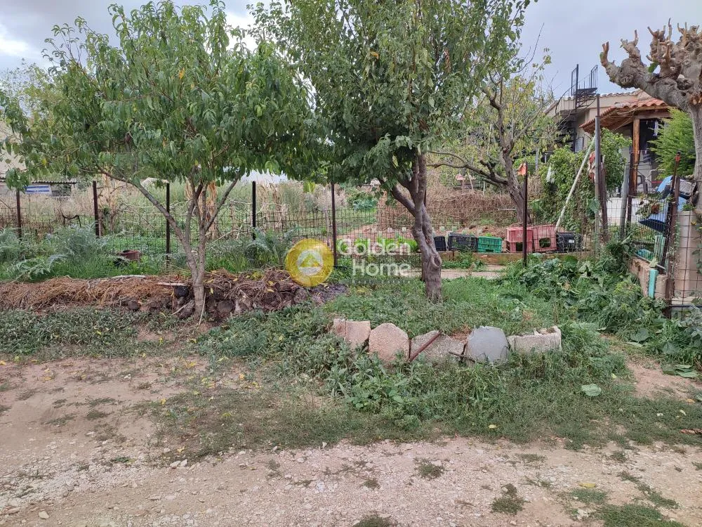 Jardin - Plot for Construction with Garden in Rodopoli, Athens
