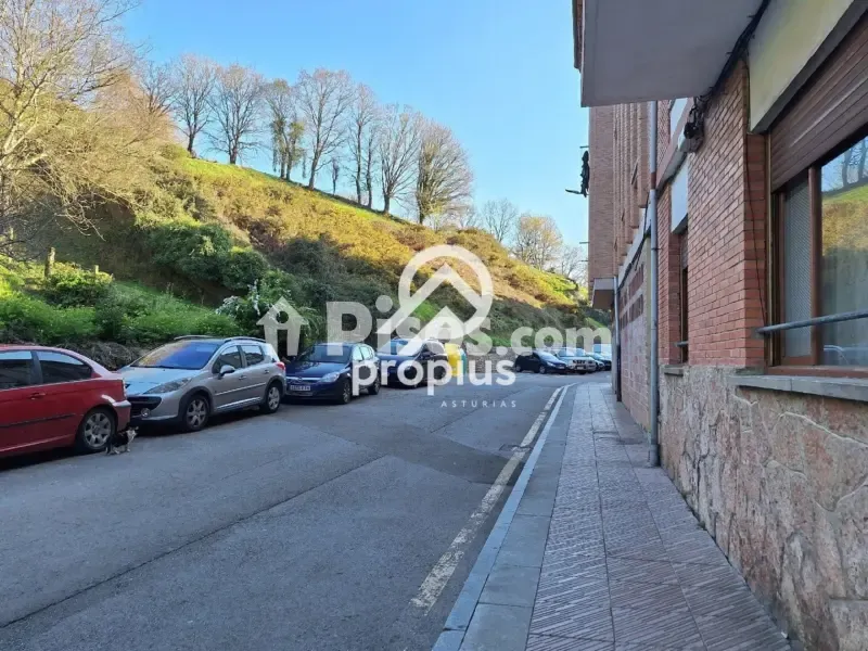 Extérieur - Reformed 2-Bed Flat with Terrace in Cangas de Onís