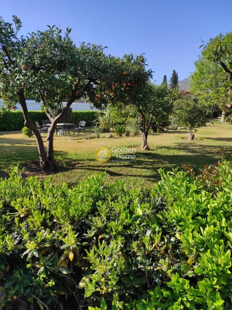 Aed - Apartment with Sea View in Marathónas