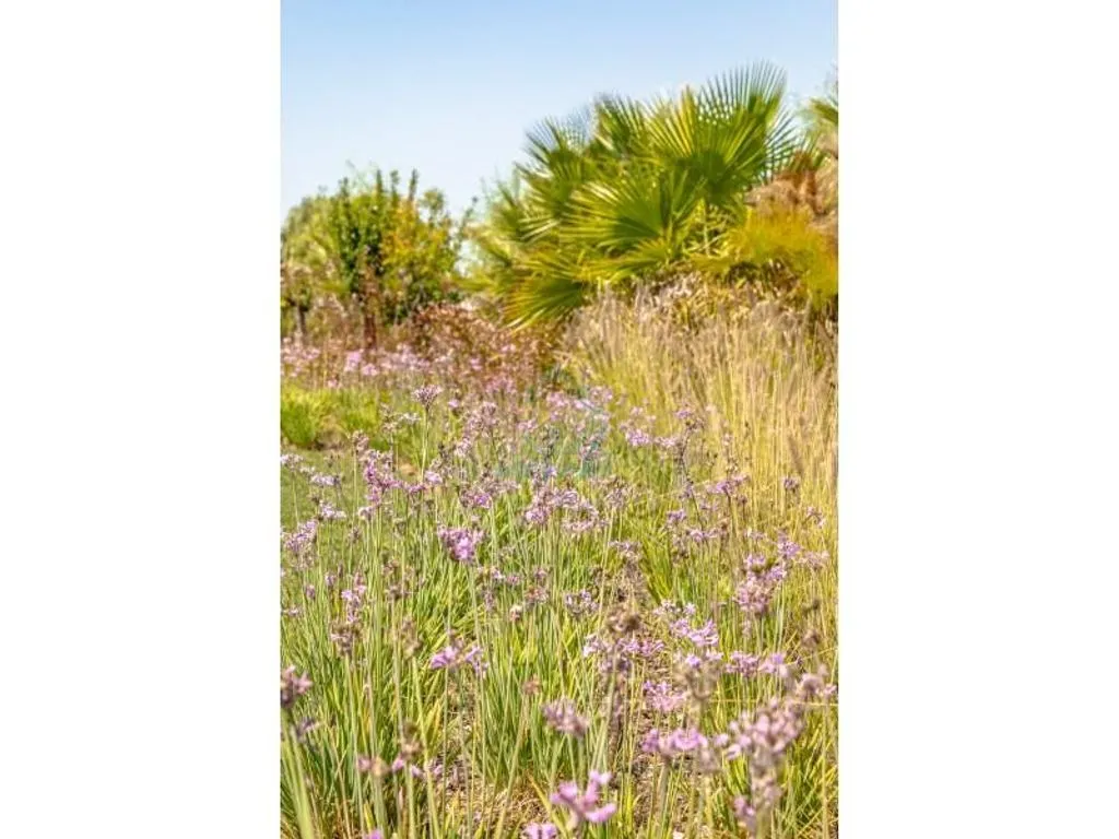Jardin - Luxury Hotel with Resort Amenities in Espiche