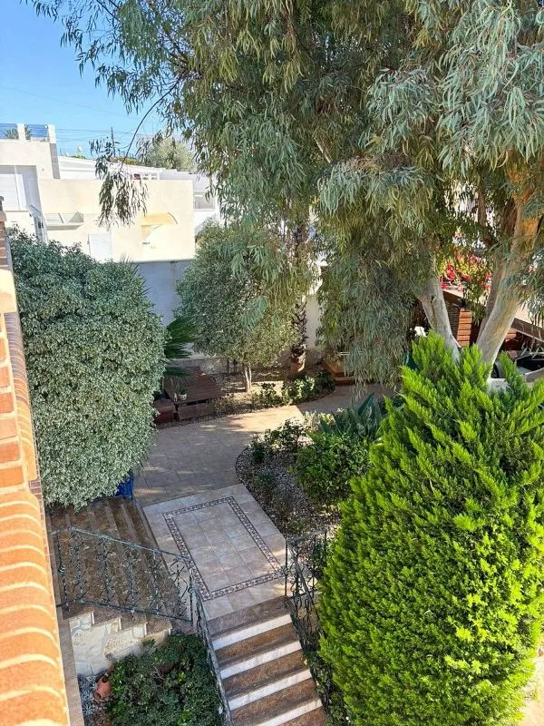Jardin - Luxury Villa with Pool in Ciudad Quesada