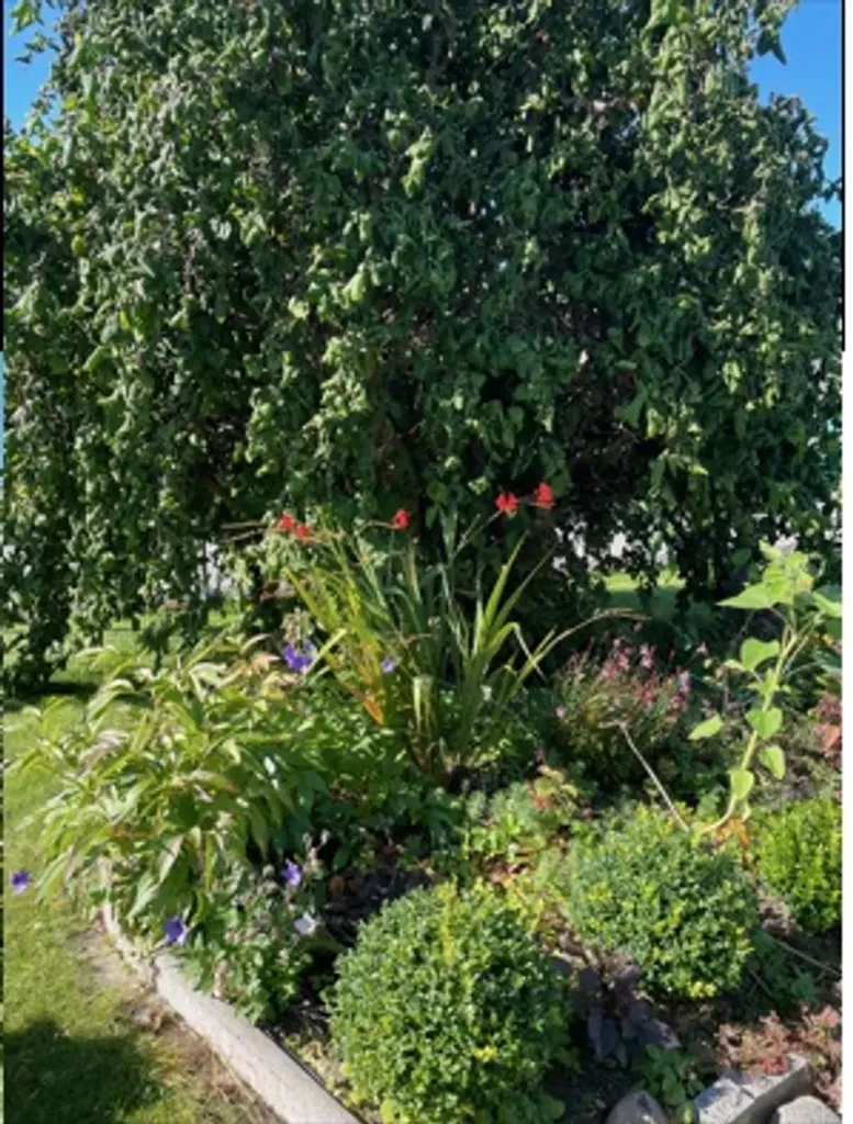 Jardin - Renovated House with Garden in Vargön