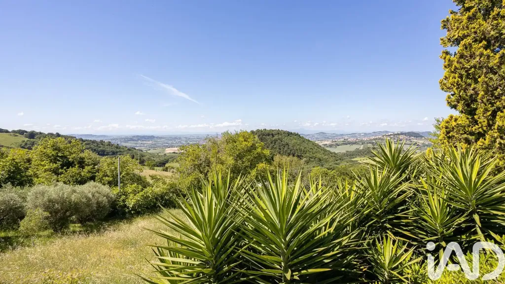 Jardin - Rustic Villa with Panoramic Views in Massignano