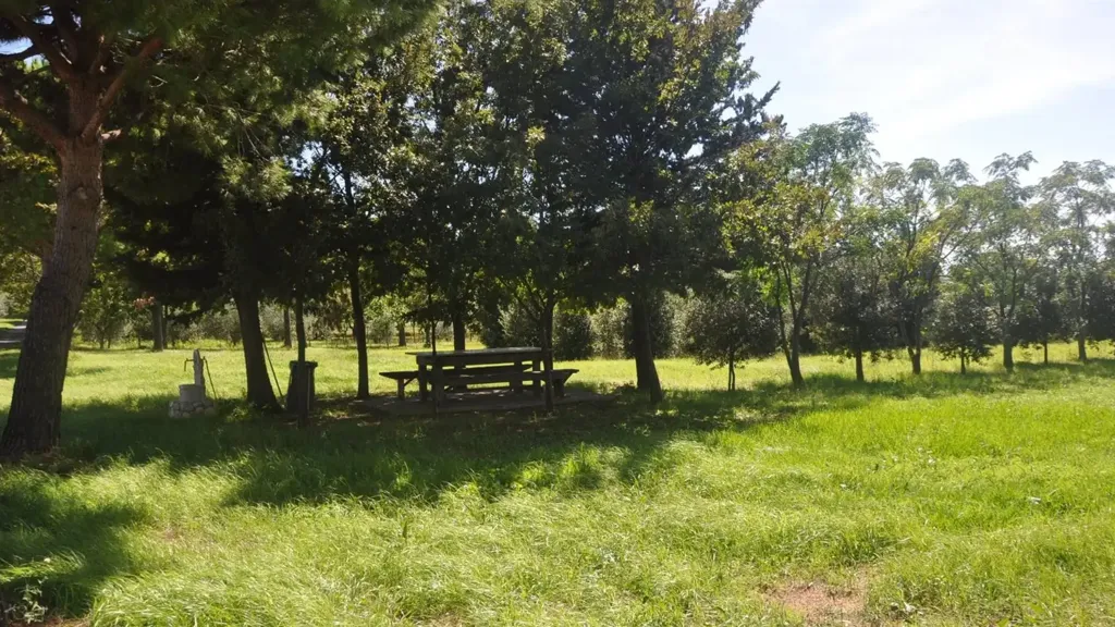Aed - Residential Complex with Orchard in Rosignano Marittimo