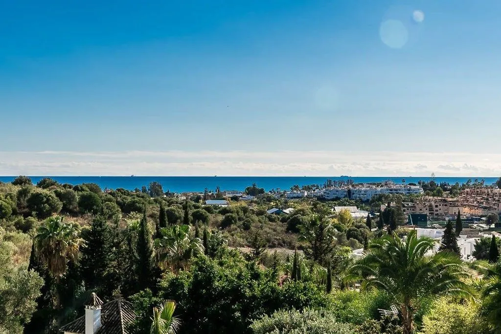 Jardin - Luxury Villa with Pool in Estepona