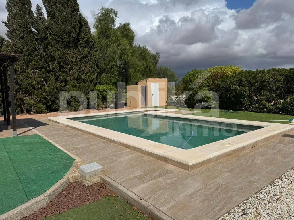 Piscine - Luxury House with Pool in Perleta, Elche