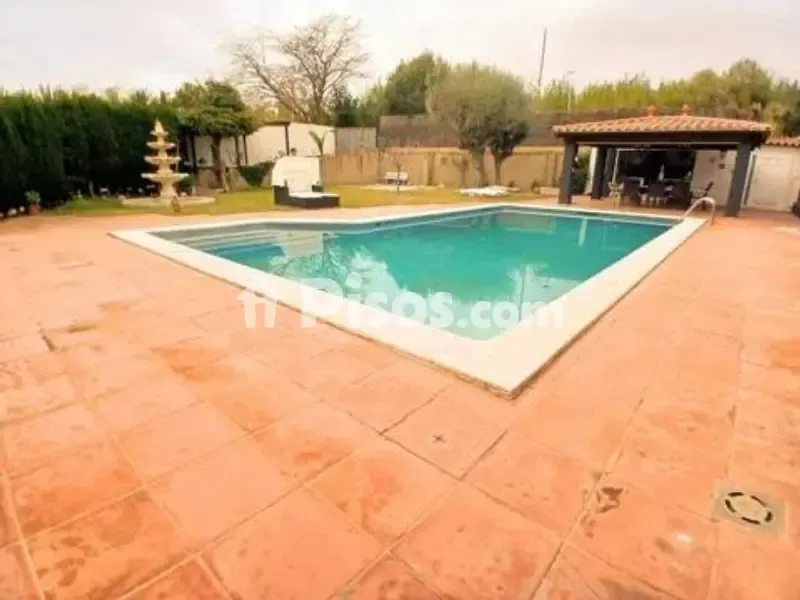 Piscine - Chalet with Pool in Premià de Dalt