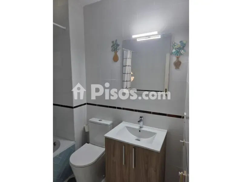 Bagni - Palace-Style Flat with Rooftop in Seville