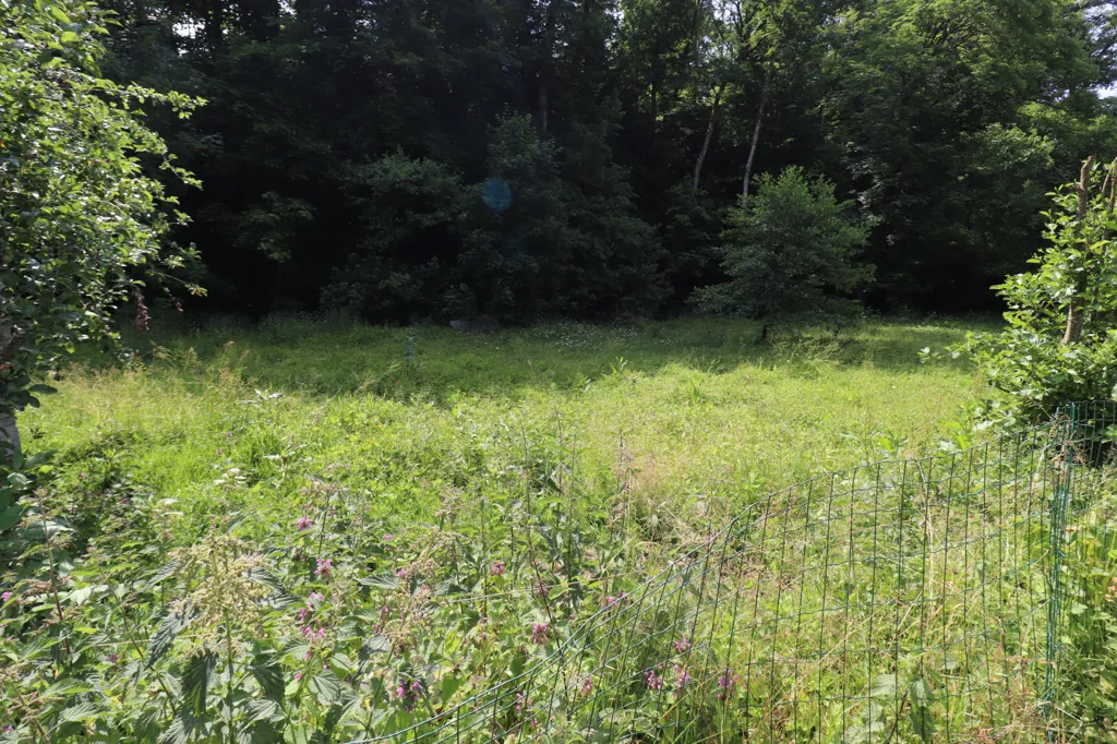 Aed - House with Orchard and Rill in Husseren-Wesserling
