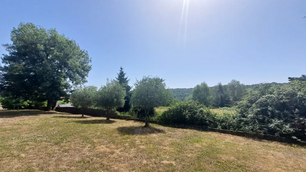 Giardino - Charming Stone House with Pool in Mervent