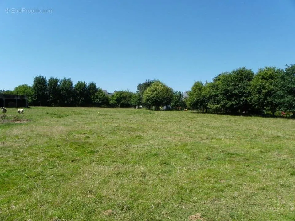Aed - Buildable Plot with Green View in Salles