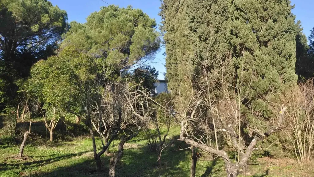 Aed - Historic Villa Complex with Panoramic Views near Castelnuovo