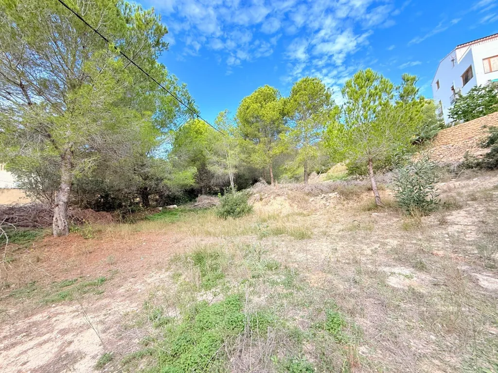 Aed - Chalet with Pool in Altea