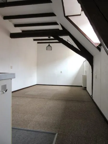 Toad - Studio with Open Kitchen in Den Bosch