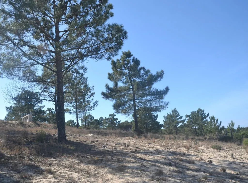 Development Land with Beach Proximity in Comporta
