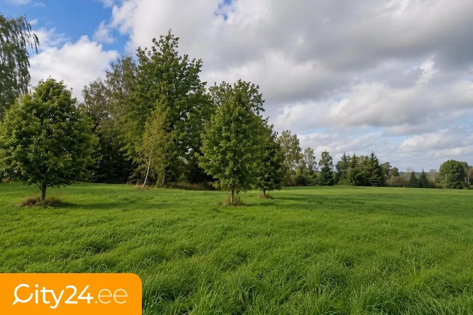 Agricultural Land with Forest in Sigulda District