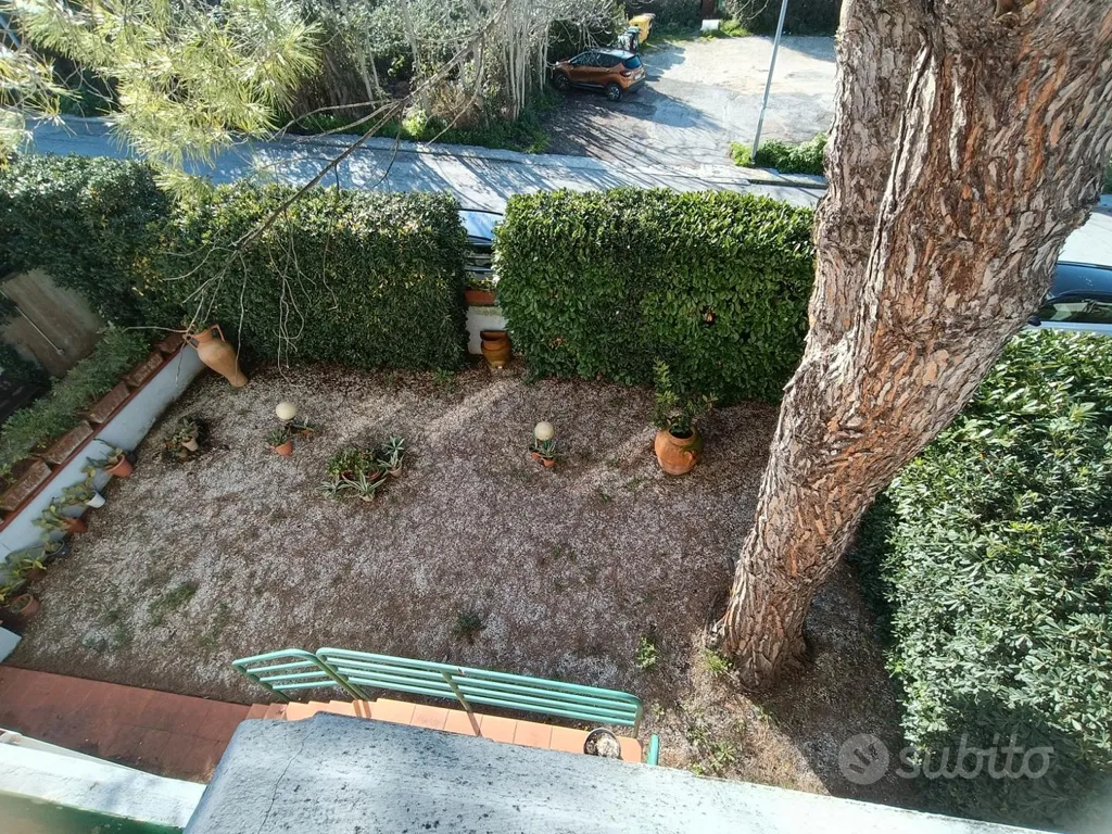 6-room house in IT