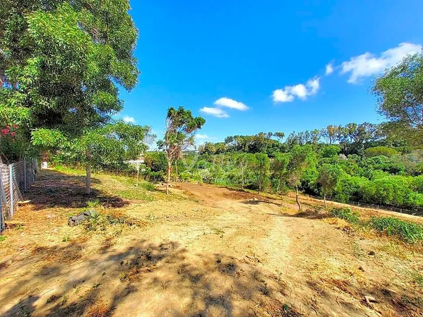 Giardino - Chalet with Garden Views in Sotogrande