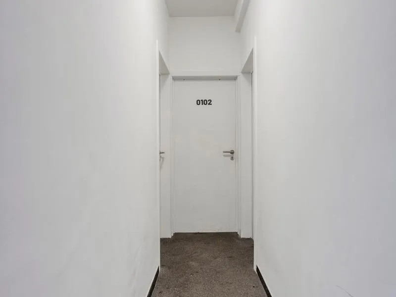 Ingresso - Fully Renovated Studio with Park View in Leuven