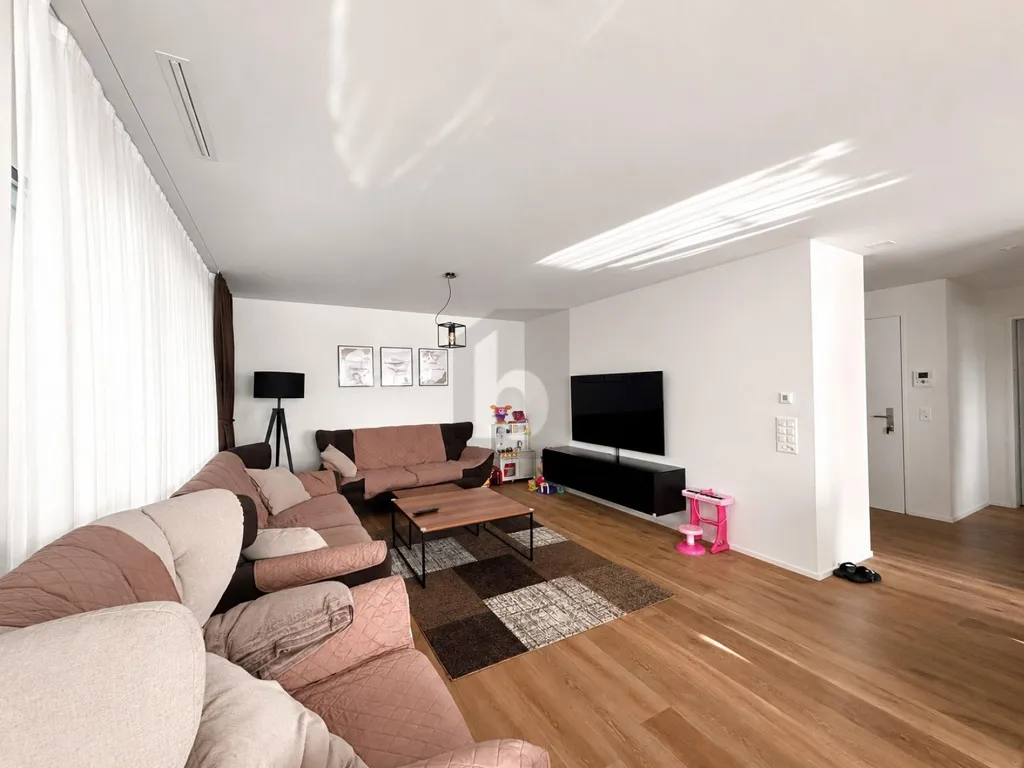 Séjour - Modern Flat with Loggia in Mönchaltorf