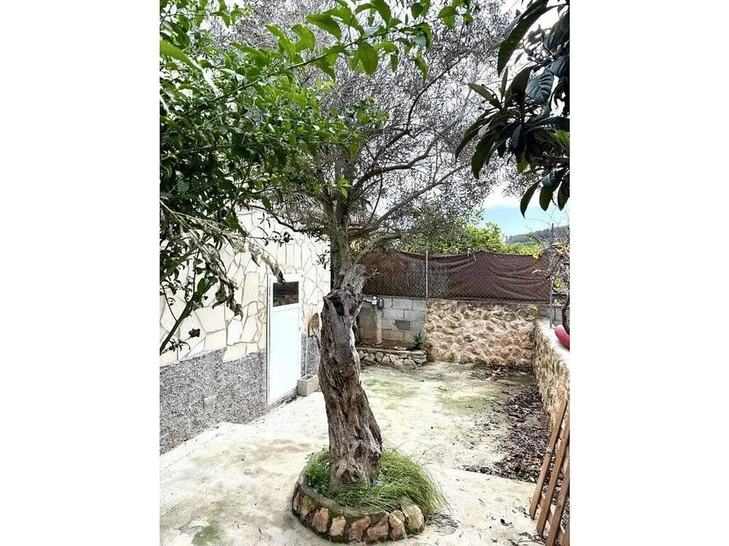 Jardin - Chalet with Pool in Can Tomàs, Sant Antoni de Portmany