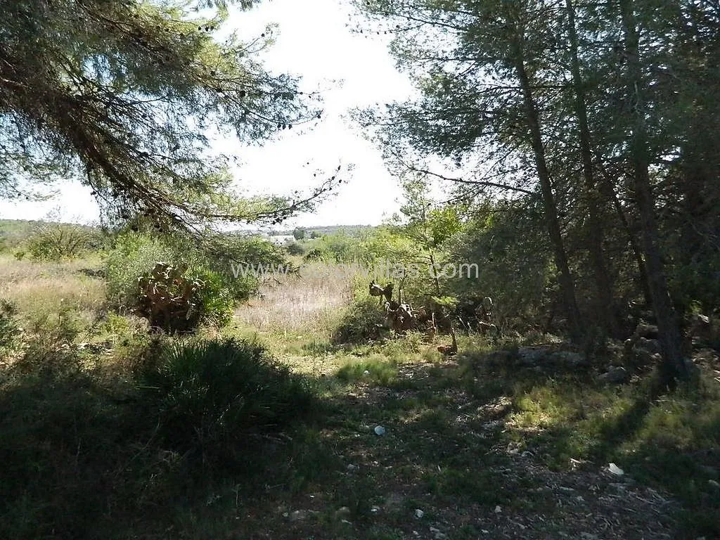 Giardino - Rustic Farmhouse with Terrace in Teulada