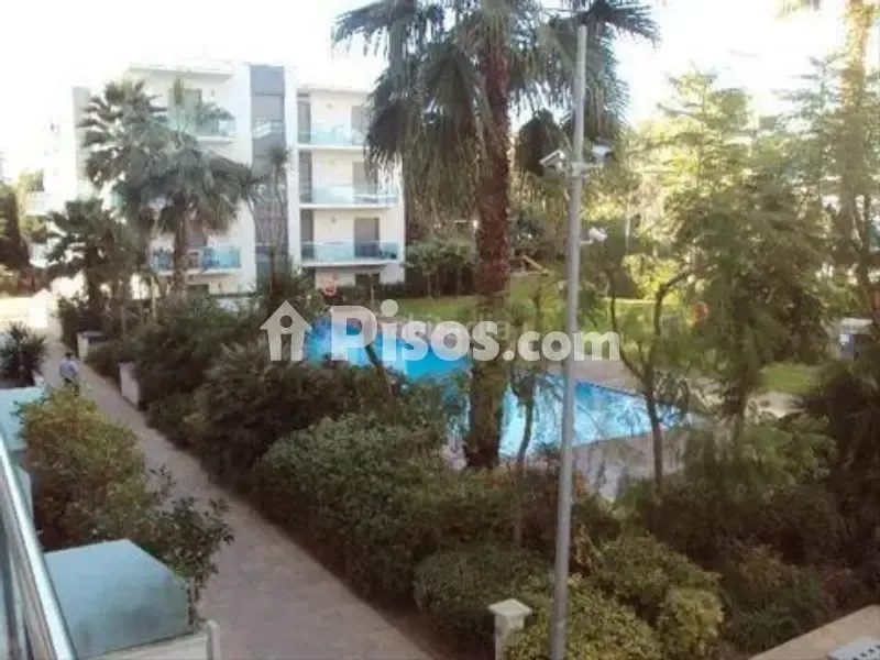 Piscine - Appartement 1 chambres à ES