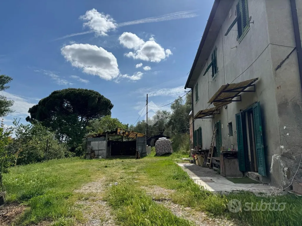 Välivaade - Rustic House with Olive Grove in Buggiano
