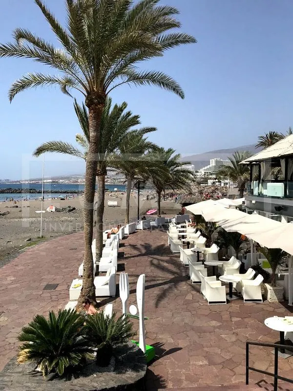 Apartment with Pool in Playa de Las Américas